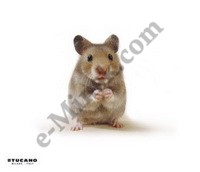 Коврик для мыши Tucano "Мышонок", Natura, КНР
