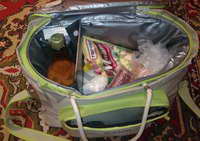   (, -) Campingaz Picnic Cooler 18L, 